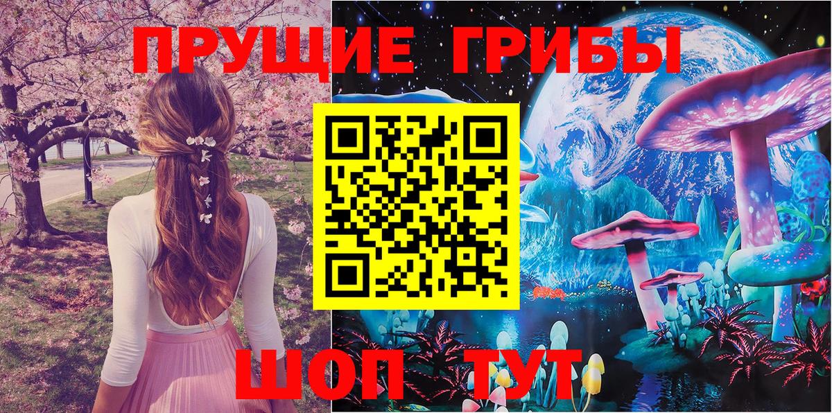 Альметьевск  Псилоцибиновые грибы мицелий  Вход с VPN 