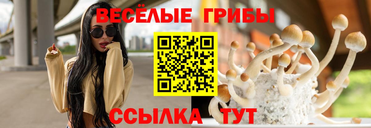 Псилоцибиновые грибы GOLDEN TEACHER Альметьевск